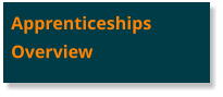Apprenticeships Overview