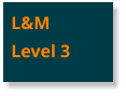 L&MLevel 3