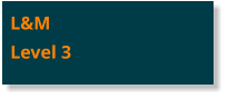L&MLevel 3