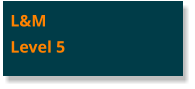L&M Level 5