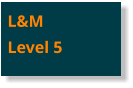 L&MLevel 5